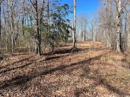 Undeveloped Land for sale in Bledsoe County, Tennessee