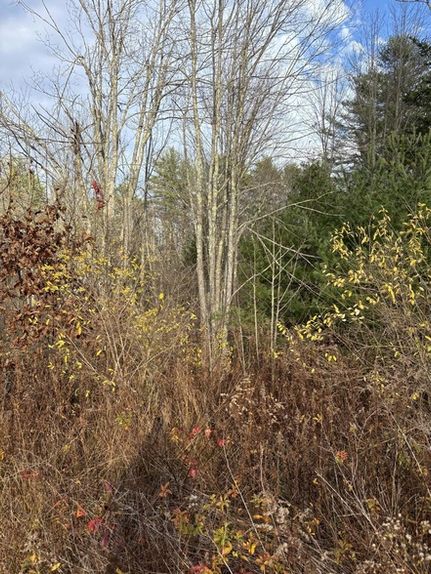 Farm and Ranch for sale in York County, Maine