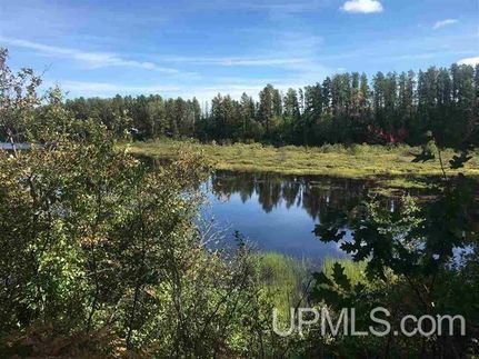 Farm and Ranch for sale in Marquette County, Michigan