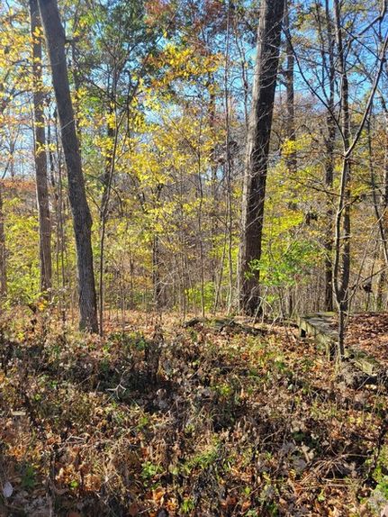 Timberland Property for sale in Putnam County, Indiana
