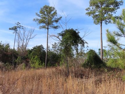 Undeveloped Land for sale in Fairfield County, South Carolina