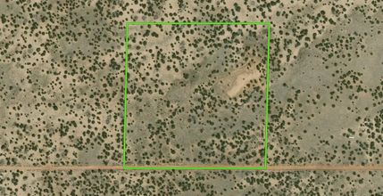 Undeveloped Land in Apache County, Arizona