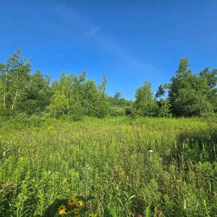 Timberland Property for sale in Jefferson County, New York