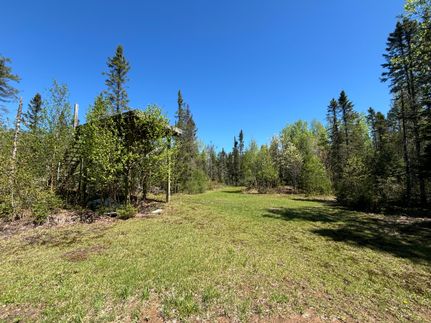 Farm and Ranch for sale in Chippewa County, Michigan