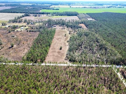 Farm and Ranch in Lafayette County, Florida