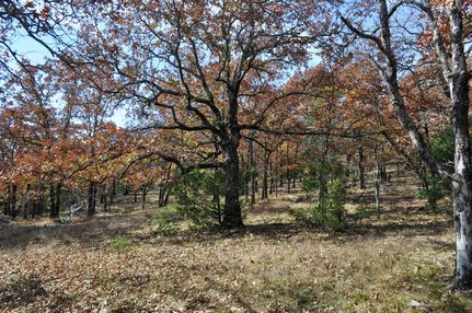 Farm and Ranch in Pittsburg County, Oklahoma