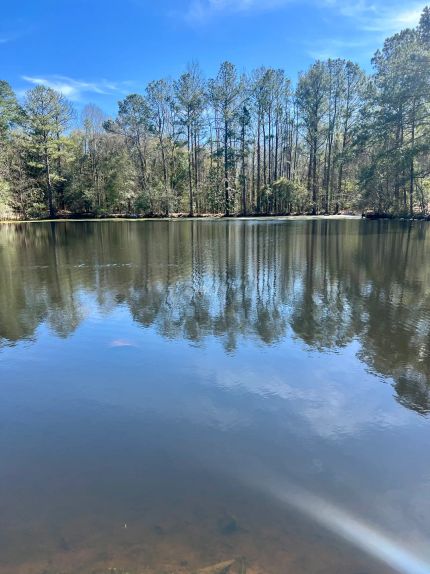 Recreational Property for sale in Butler County, Alabama