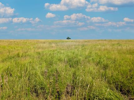 Recreational Property for sale in Bailey County, Texas