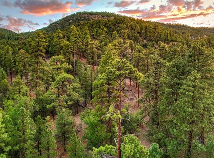 Recreational Property for sale in Catron County, New Mexico