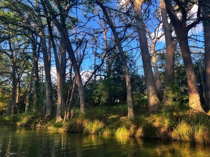 Farm and Ranch for sale in Real County, Texas