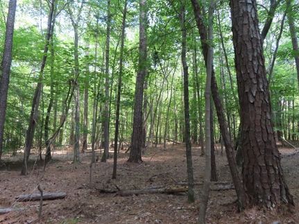 Timberland Property for sale in Fairfield County, South Carolina