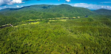 Timberland Property for sale in Polk County, Tennessee