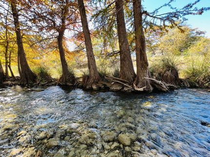 Timberland Property for sale in Real County, Texas