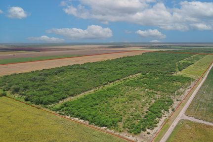 Farm and Ranch for sale in Jim Wells County, Texas