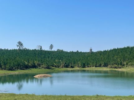 Hunting Property for sale in Shelby County, Alabama