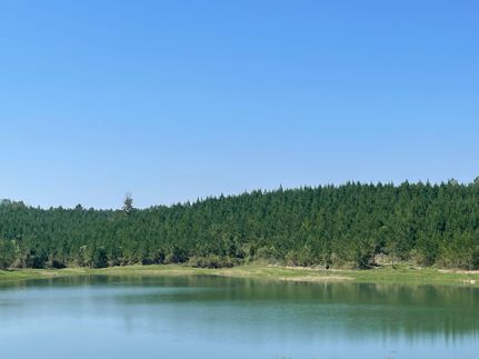 Undeveloped Land for sale in Shelby County, Alabama