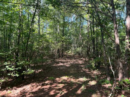 Farm and Ranch for sale in Benton County, Mississippi