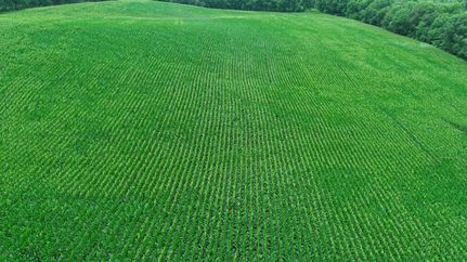 Farm and Ranch for sale in Holt County, Missouri