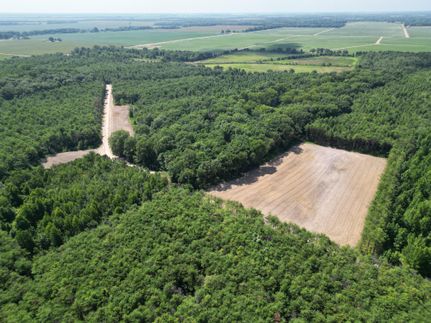 Timberland Property for sale in Chicot County, Arkansas
