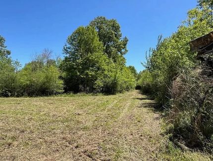 Farm and Ranch for sale in Amite County, Mississippi