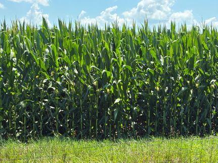 Timberland Property for sale in Brown County, Illinois