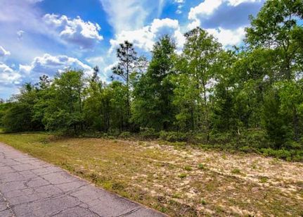 Land for sale in Washington County, Florida