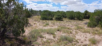 Undeveloped Land for sale in Apache County, Arizona