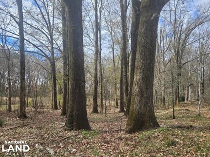 Timberland Property for sale in Montgomery County, Alabama