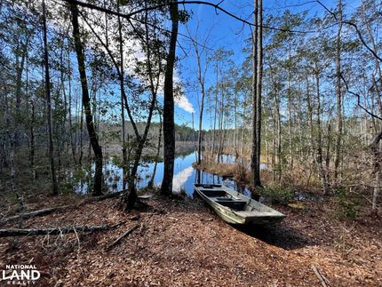 Farm and Ranch for sale in Washington County, Alabama