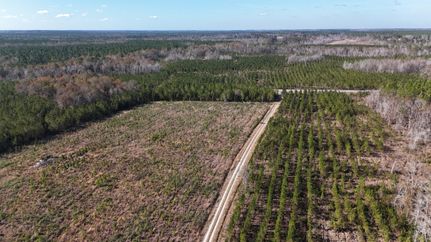 Farm and Ranch for sale in Telfair County, Georgia