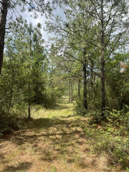 Farm and Ranch for sale in Rapides Parish, Louisiana