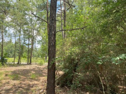 Farm and Ranch for sale in Rapides Parish, Louisiana