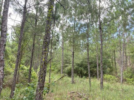 Farm and Ranch for sale in Rapides Parish, Louisiana