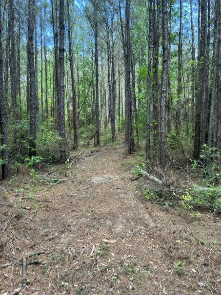 Farm and Ranch for sale in Rapides Parish, Louisiana