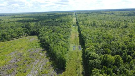 Farm and Ranch for sale in Colleton County, South Carolina