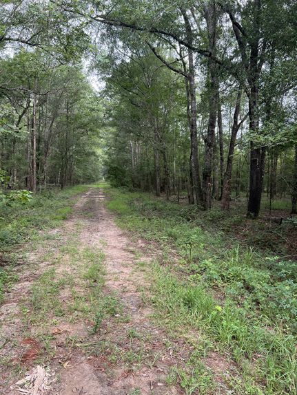 Recreational Property for sale in Sabine County, Texas