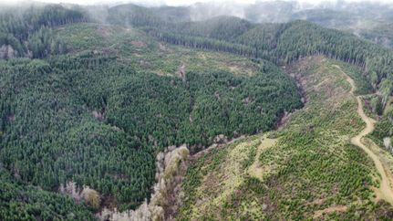 Farm and Ranch for sale in Lincoln County, Oregon