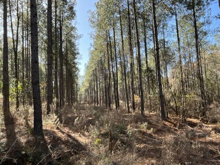 Timberland Property for sale in Randolph County, Georgia