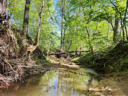 Farm and Ranch for sale in Jasper County, Georgia
