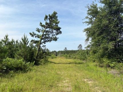 Farm and Ranch for sale in Jasper County, Texas