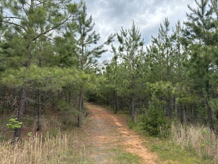 Commercial Property for sale in Buckingham County, Virginia