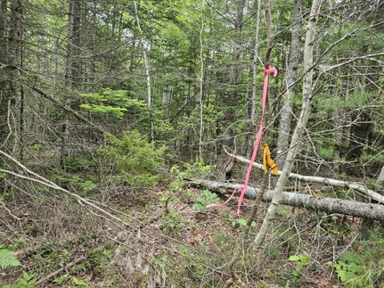 Timberland Property for sale in Hancock County, Maine