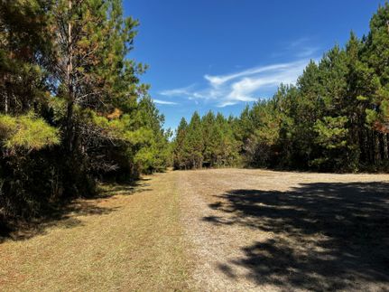 Recreational Property for sale in Gadsden County, Florida