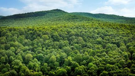 Farm and Ranch for sale in Essex County, Vermont