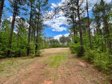 Land for sale in Heard County, Georgia