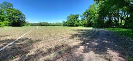 Timberland Property in Pitt County, North Carolina