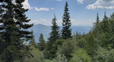 Timberland Property for sale in Boundary County, Idaho