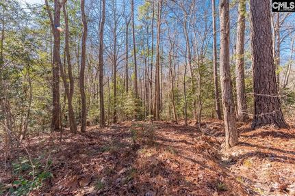 Recreational Property for sale in Lexington County, South Carolina