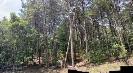 Undeveloped Land in McCurtain County, Oklahoma