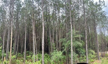 Undeveloped Land in McCurtain County, Oklahoma